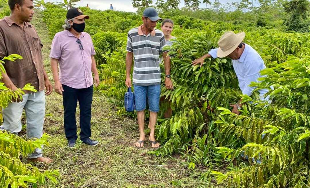 Deputados discutem situação da Emater e propõem realização de audiência pública