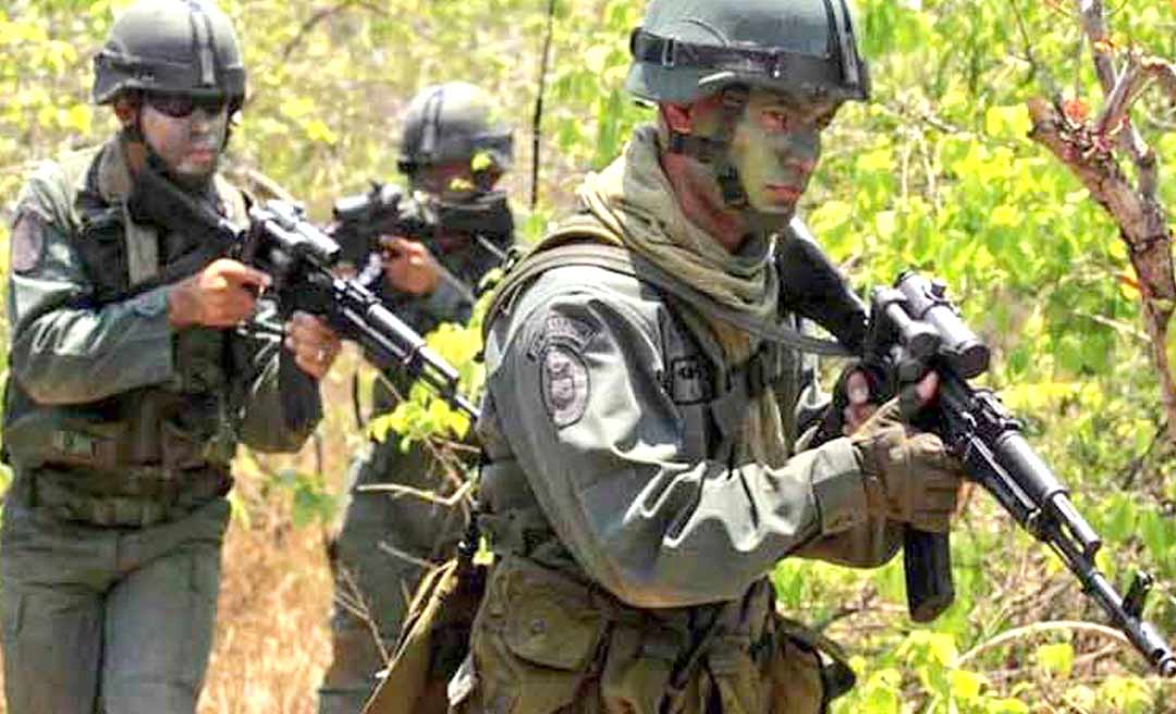 Forças Armadas vão atuar no entorno de Rio Branco para o combate a crimes ambientais, decide vice-presidente