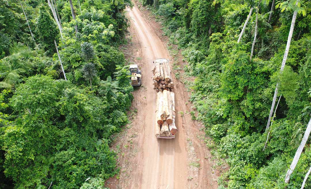 Concessão das florestas públicas do Gregório, Mogno e Liberdade: um debate necessário e urgente