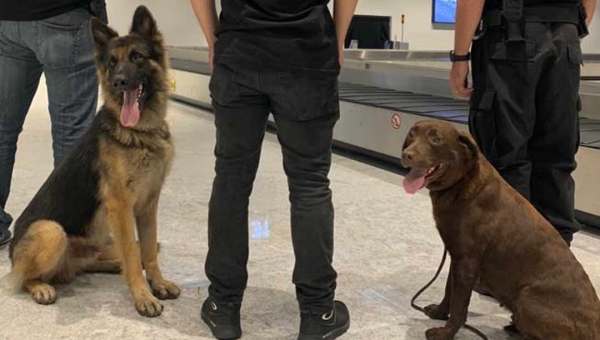 De olho no Acre como rota do narcotráfico, Ministério da Justiça deflagra operação com uso de cães farejadores