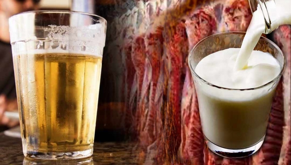 Privatização da Eletrobras deve encarecer cerveja, carne e leite; entenda