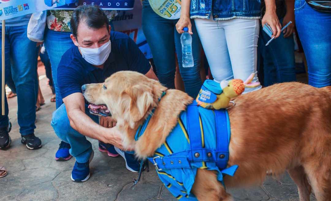Aleac aprova PLs de Duarte que pune autor de maus tratos a animais e que garante atendimento preferencial às pessoas com fibromialgia