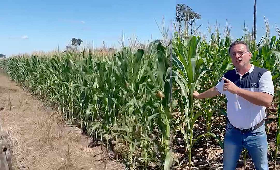 Produtor rural se diz perseguido por Nenê Junqueira, indicado de Bittar para comandar a SEPA