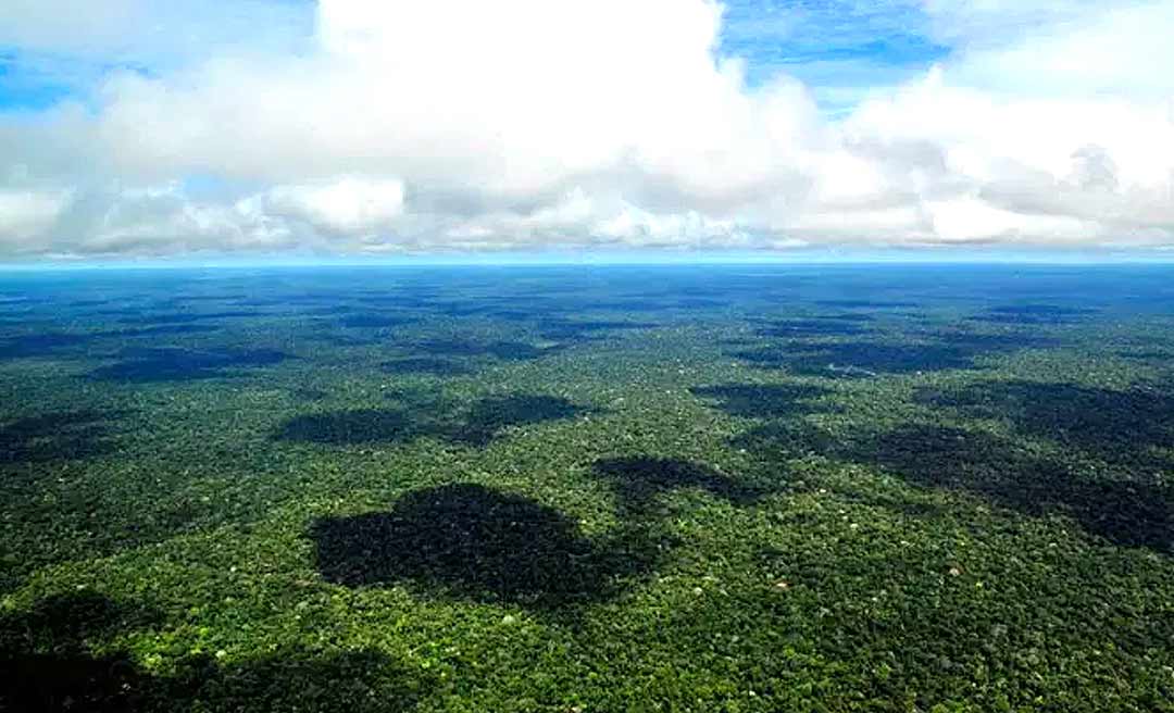 Xeiques do Catar escolhem Mâncio Lima para fortalecer fruticultura da Amazônia e vão plantar 1,5 mil mudas