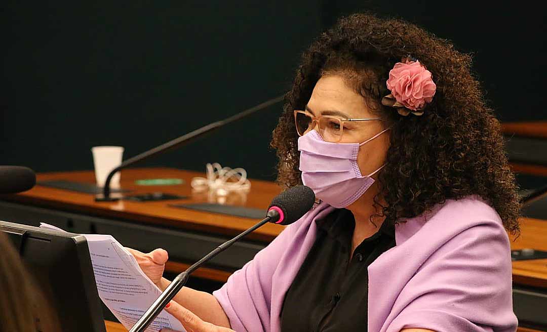 Comissão de Relações Exteriores aprova relatório de Perpétua sobre parceria Brasil e Peru