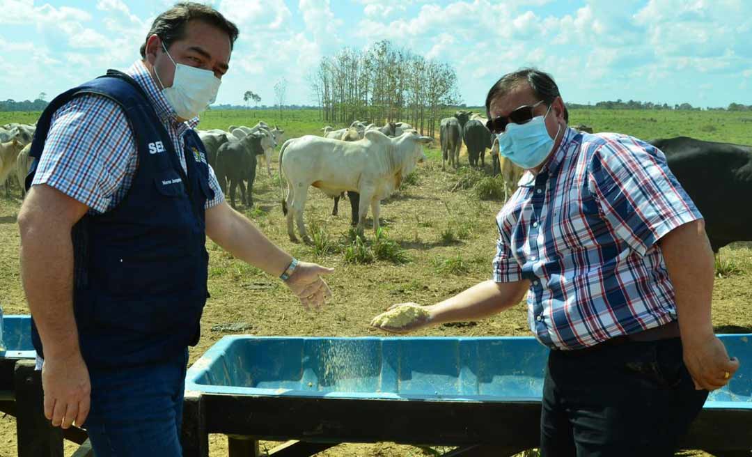 Nenê Junqueira realiza visita técnica a fábrica de ração e acompanha estratégia alimentar o para engorda de boi de abate