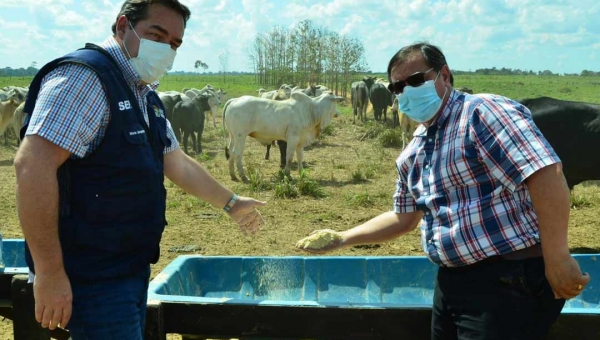 Nenê Junqueira realiza visita técnica a fábrica de ração e acompanha estratégia alimentar o para engorda de boi de abate
