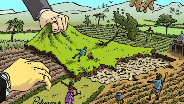 Área de pesquisa da Funtac na BR-317 é invadida por grileiros e MP-AC investiga o caso