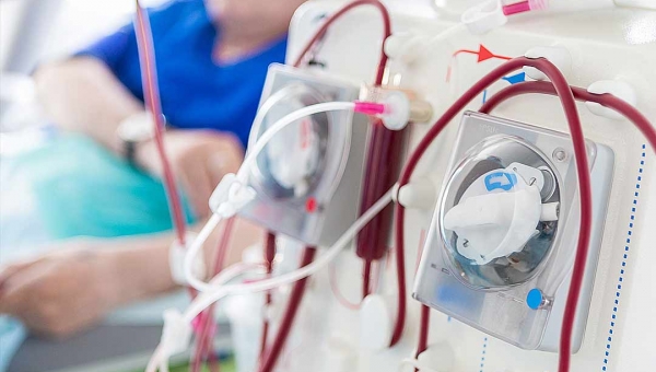 Renais crônicos, transplantados e pessoas com câncer terão prioridade em exames para detectar a covid