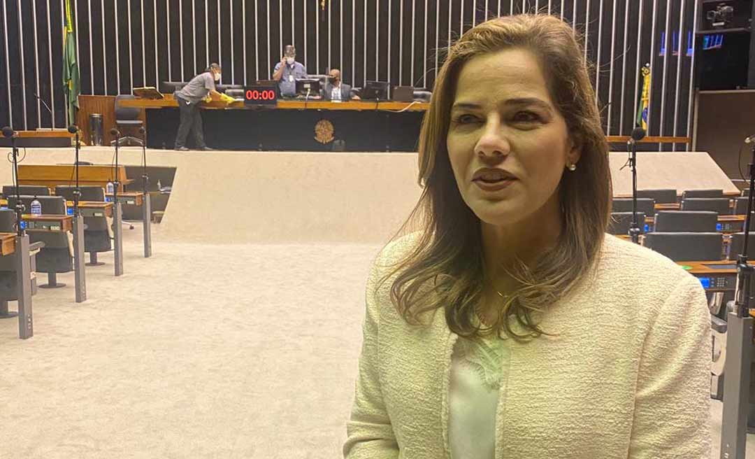 Projeto de Mara Rocha que cria a Política Nacional de Incentivo à Apicultura e Meliponicultura é aprovado em comissão