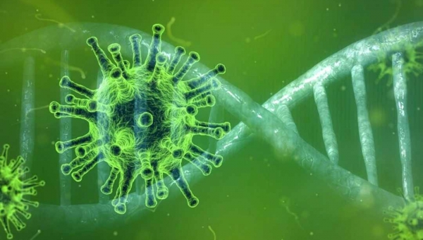 Variante colombiana é registrada em Rondônia e deixa autoridades do Acre em alerta