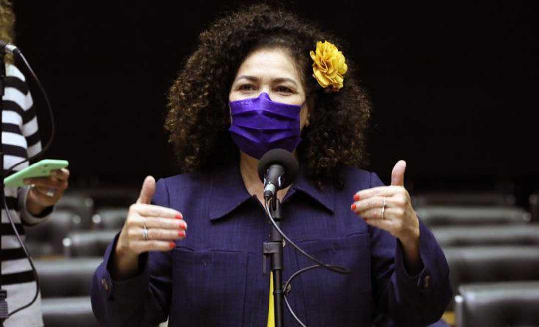 Perpétua propõe inclusão de cuidado materno como contribuição para aposentadoria de mulheres