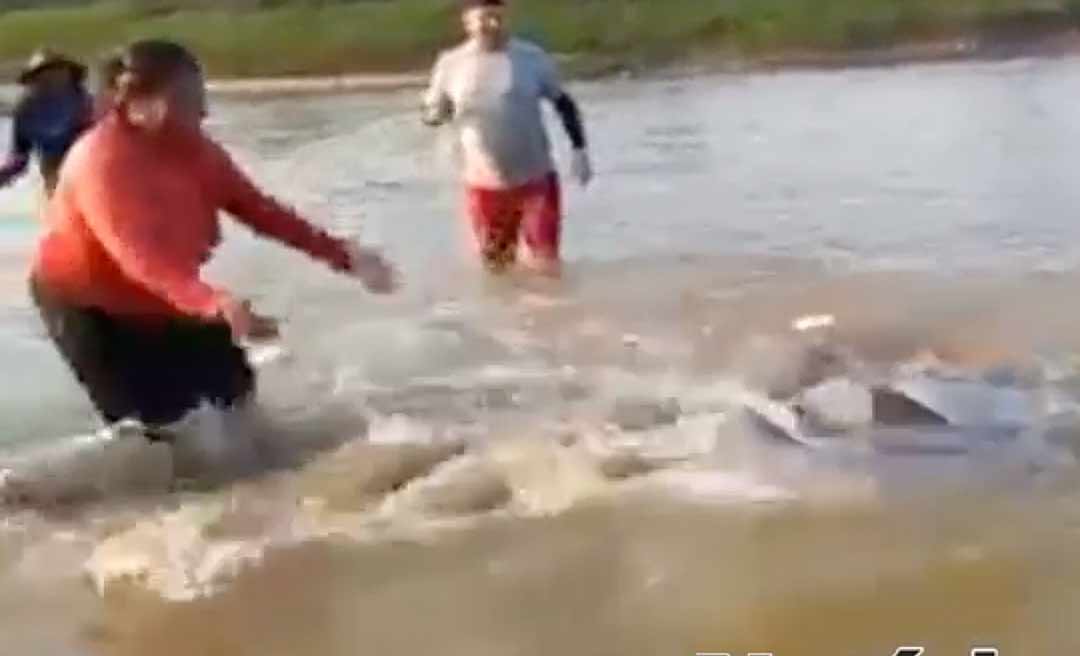 Durante pescaria em Cruzeiro do Sul, espécie rara de boto fica presa em malhadeira lançada no rio Juruá