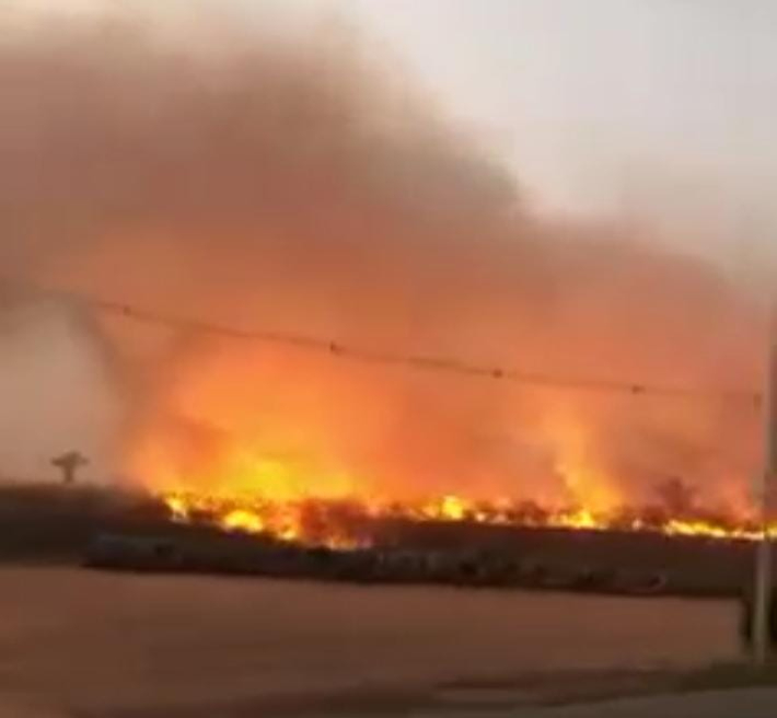 Incêndio atinge grande área de mata na Via Verde em Rio Branco