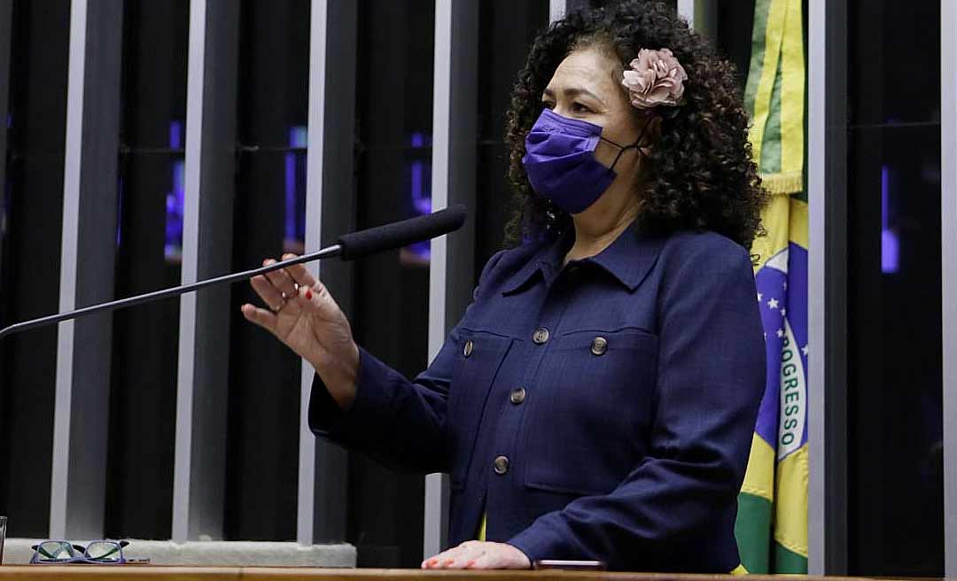 Perpétua vota contra PL que impede reajuste do piso salarial dos professores