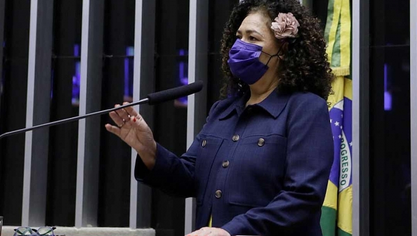 Perpétua vota contra PL que impede reajuste do piso salarial dos professores