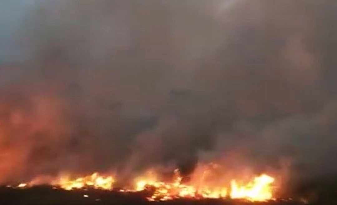 Incêndio florestal em Mâncio Lima atinge cerca de 100 hectares de vegetação