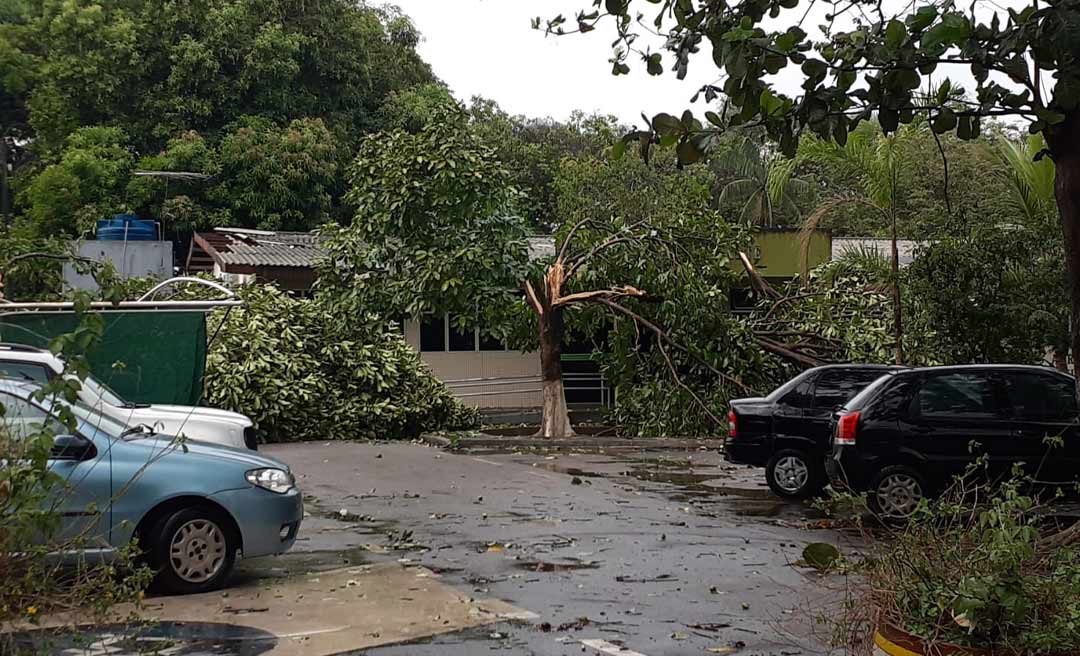 Rastros de destruição - Temporal derruba torre e árvores e destelha casas e sede do Mapa no Acre; assista ao vídeo