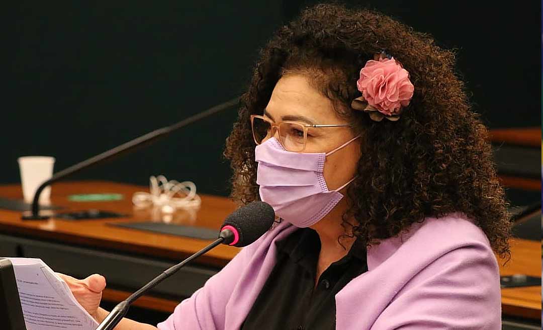 Perpétua solicita informações sobre recursos utilizados por Bolsonaro no 7 de Setembro