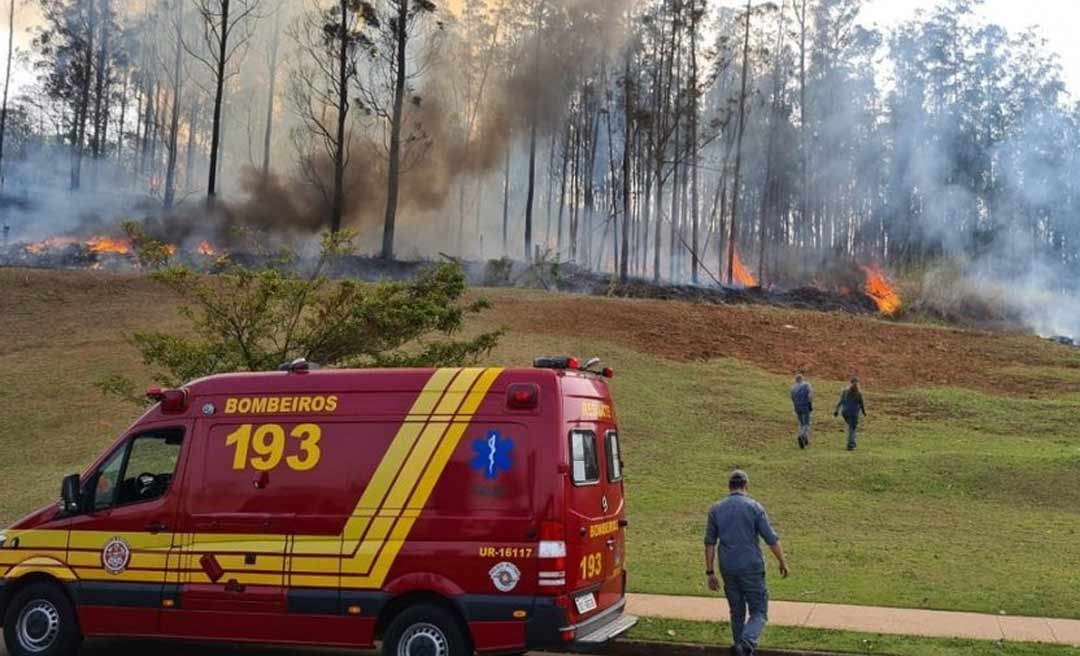 Empresário, esposa e 3 filhos estão entre as vítimas de queda de avião