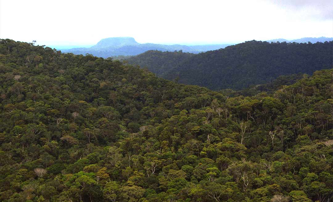ICMBio dá sinal verde para estrada que corta o Parque Nacional da Serra do Divisor