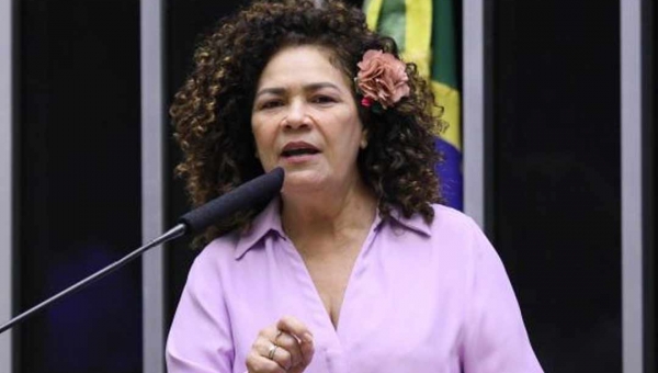 Deputada federal Perpétua aciona MPF para investigar Guedes e Campos Neto