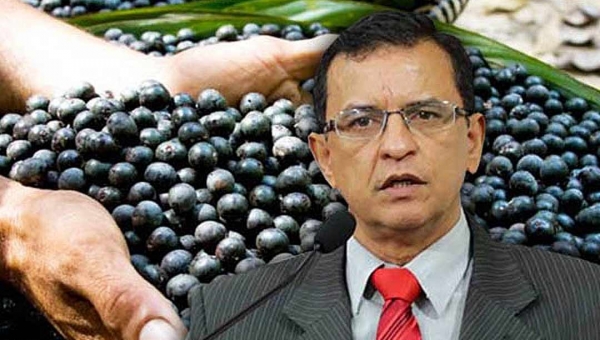 Gonzaga propõe audiência para debater incentivos para a cadeia produtiva do açaí