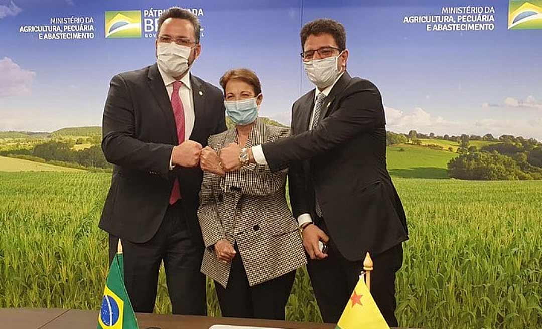 Alan Rick e Gladson se reúnem com a ministra da Agricultura e garantem apoio para o agro acreano