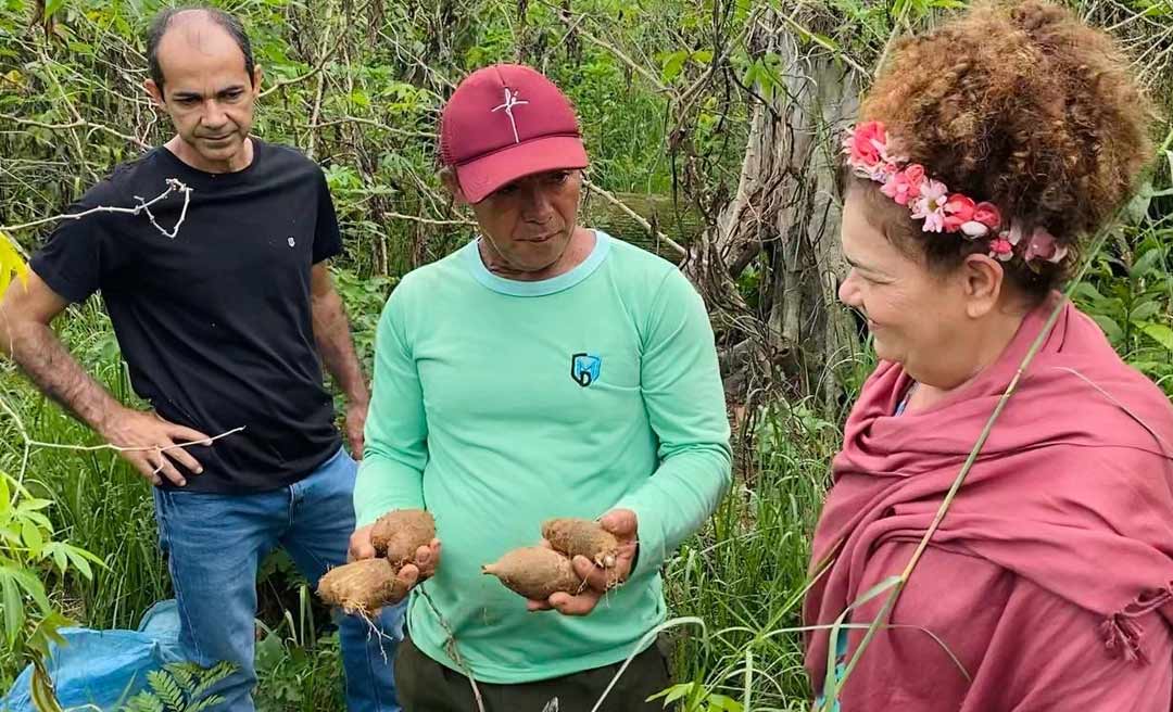 Perpétua garante equipamentos para produtor de inhame de Cruzeiro do Sul