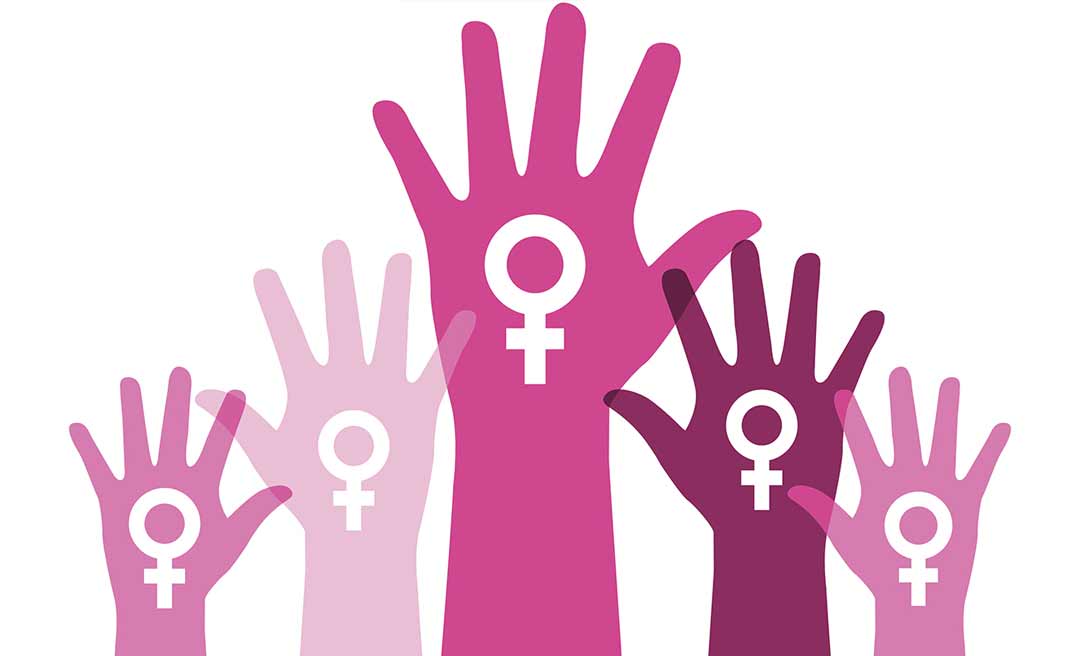 Conselho Estadual dos Direitos da Mulher entrega carta de recomendações ao governador Gladson Cameli