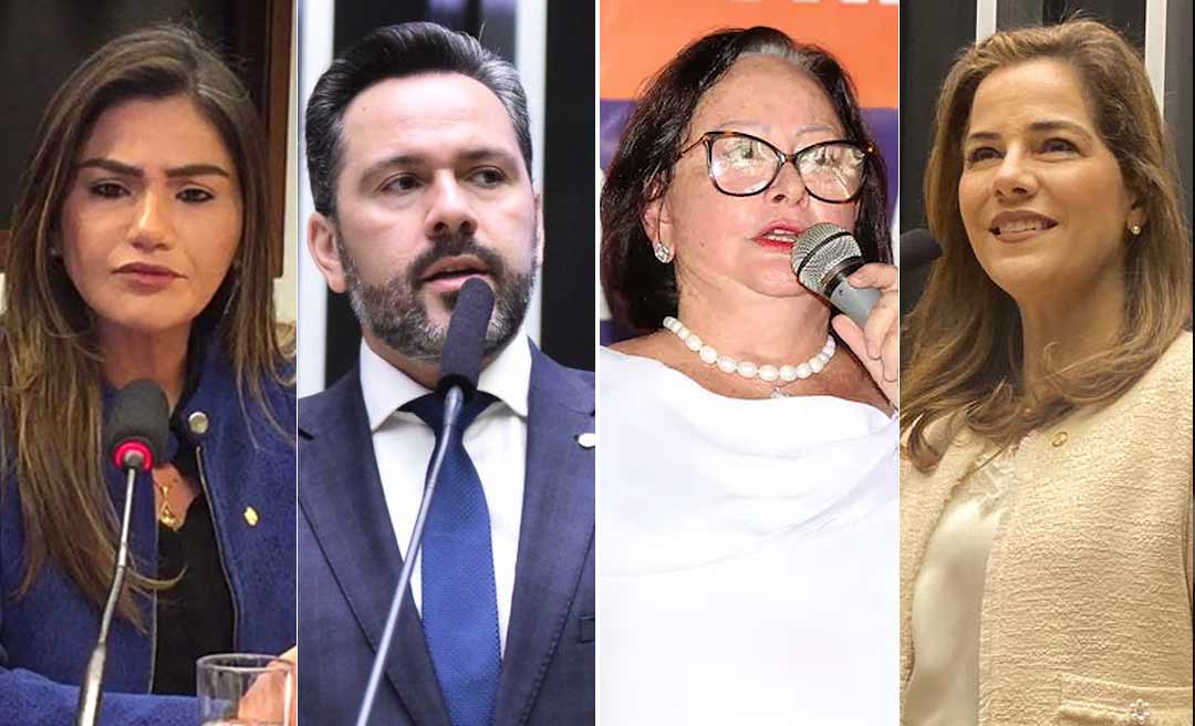 Deputados federais do Acre desejam voos mais altos e estão de olho na vaga de Mailza