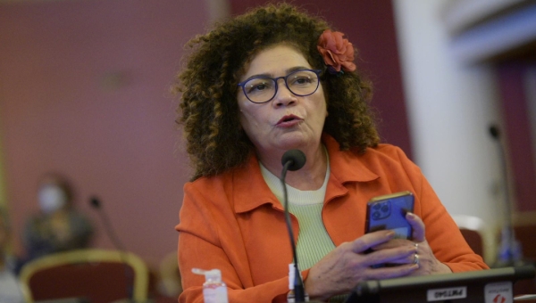 No Parlasul, Perpétua fala da urgência de o Brasil retomar compromissos com a preservação ambiental