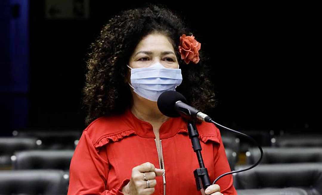 Deputada Perpétua afirma que governo não tem votos para aprovar a PEC 32