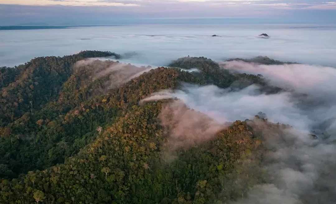 Juíza manda DNIT parar projeto de rodovia que rasgará Serra do Divisor, no Acre