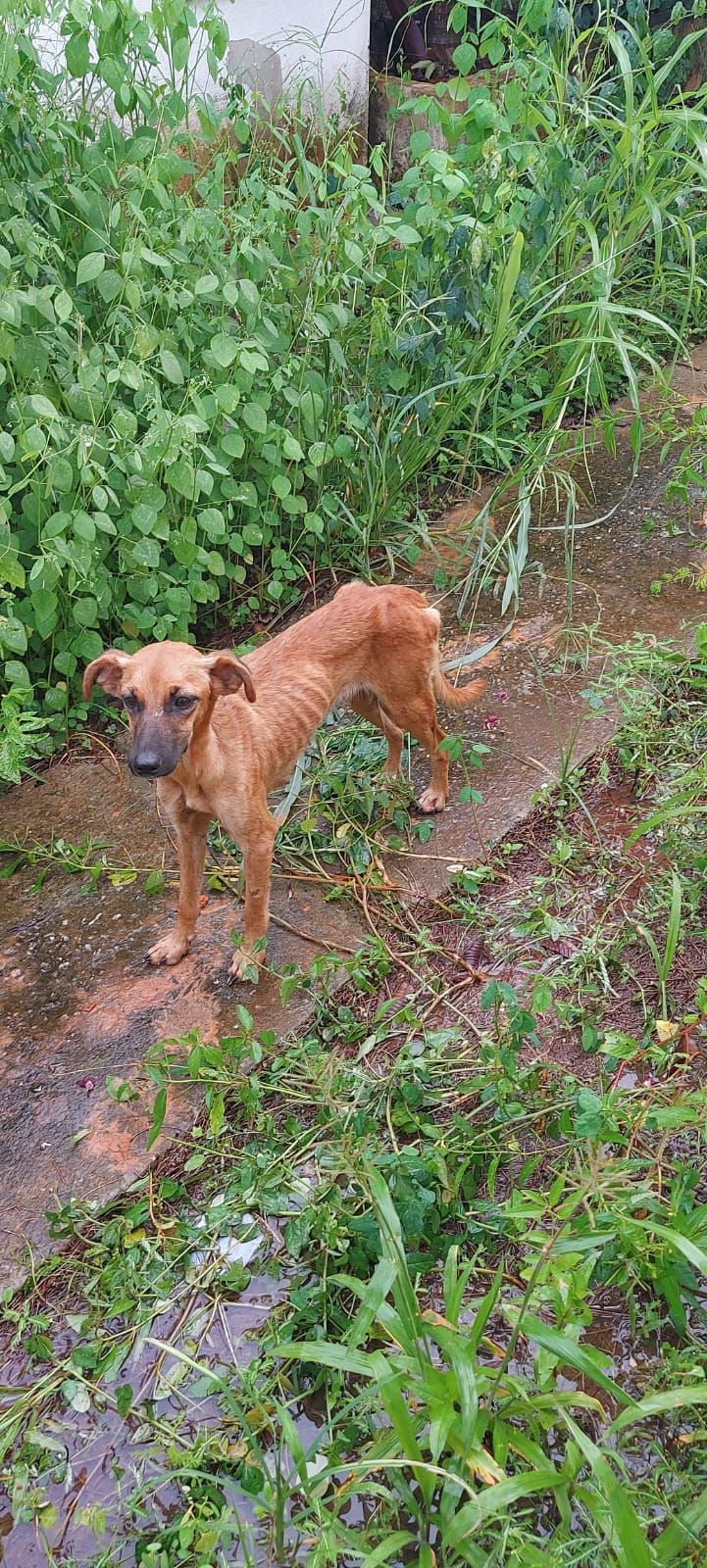 WhatsApp Image 2021 12 18 at 18.52.46 1