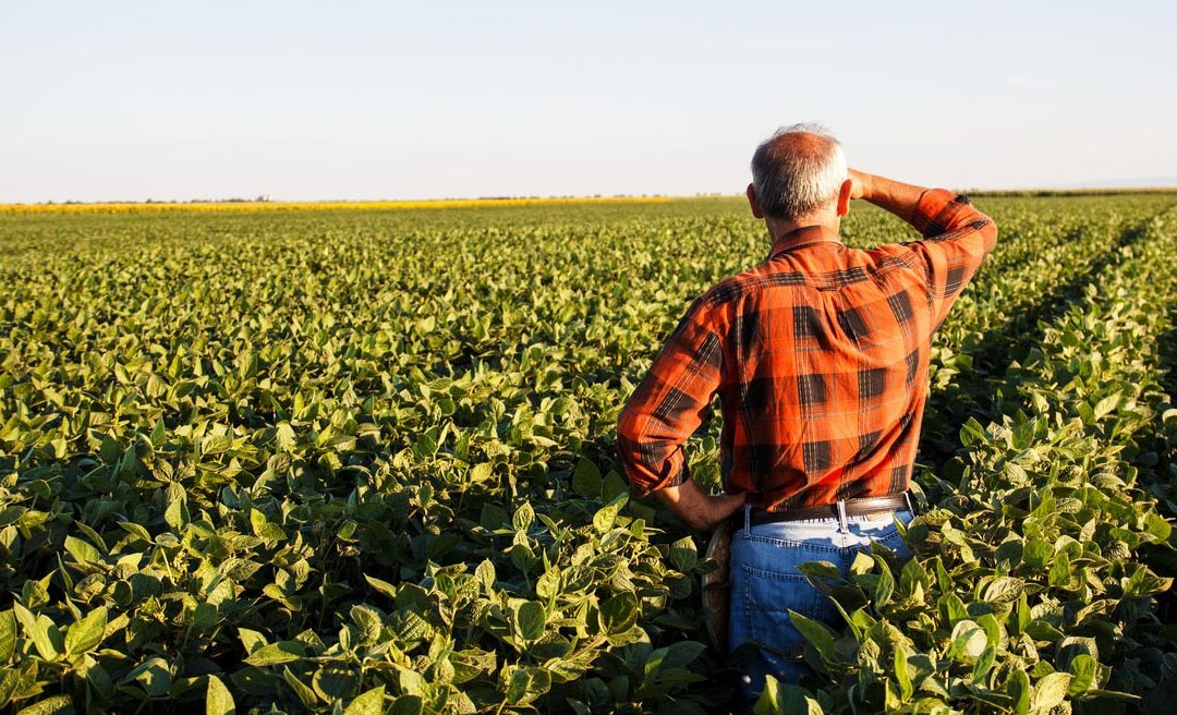 Produtor rural poderá regularizar cadastro ambiental pela internet