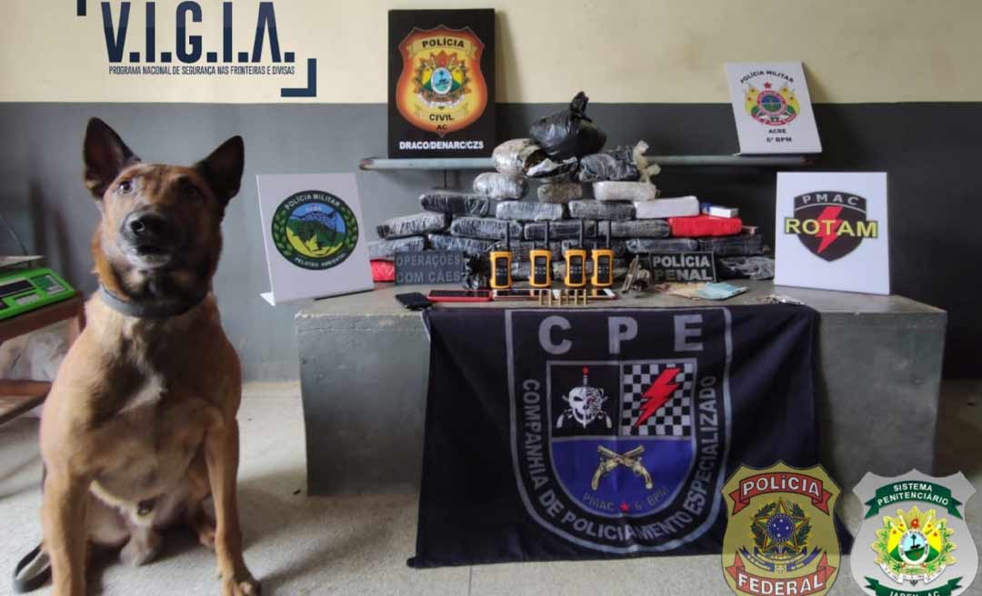 Forças de segurança apreendem quase 30 kg de entorpecente em Cruzeiro do Sul