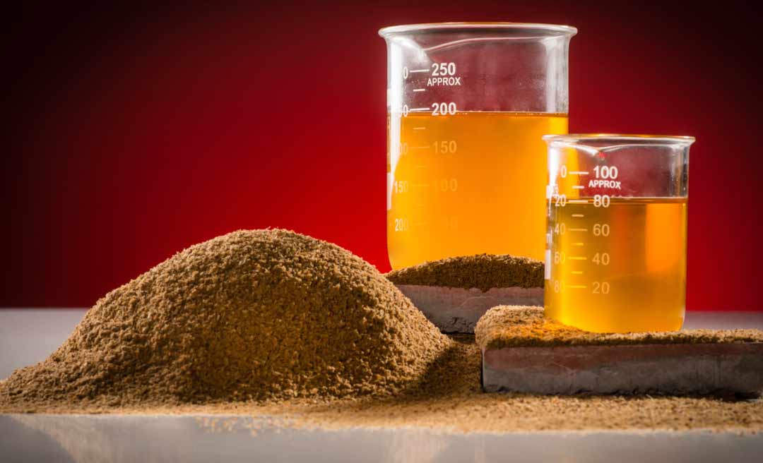 Grupo especializado na fabricação de ração animal pretende se instalar no Acre; mais de 150 empregos podem ser gerados