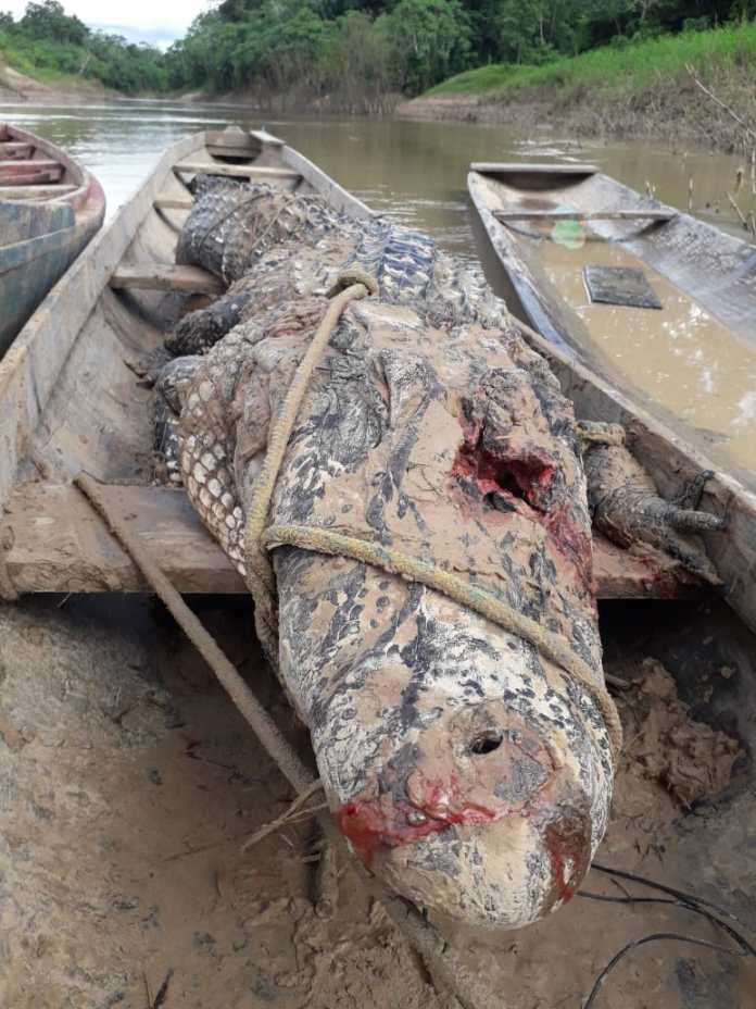 WhatsApp Image 2022 02 13 at 10.40.04 1