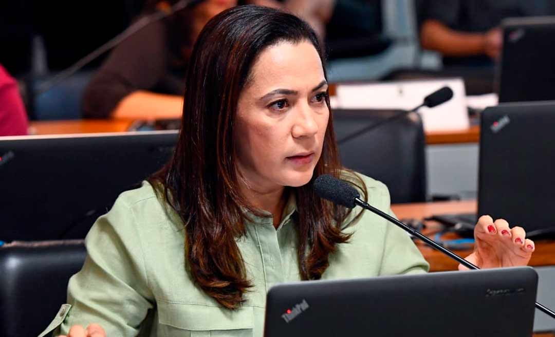 Senadora Mailza pede auxílio ao Governo Federal para o Jordão, atingido pela cheia dos rios