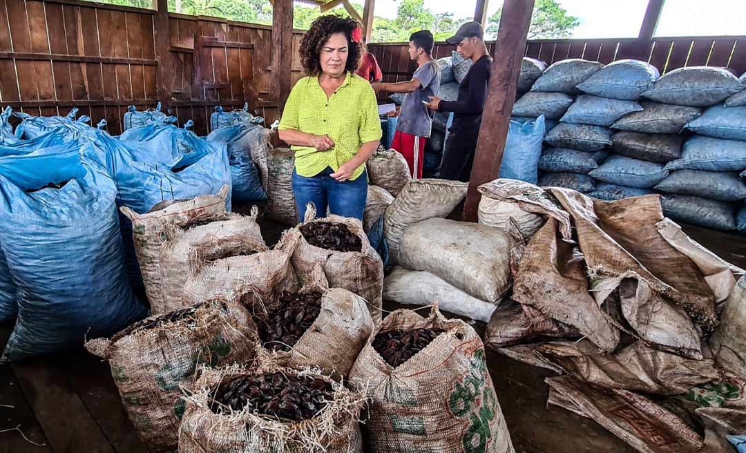 “Pelo menos 5 mil latas de castanhas podem estragar no Antimary por falta de escoamento”, denuncia Perpétua
