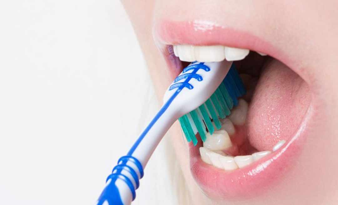 Aleac aprova projeto que visa distribuir escovas de dentes nas escolas do Acre