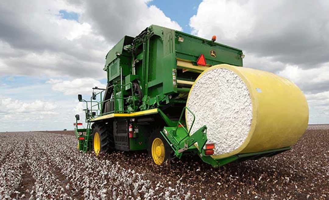 Algodão produzido no MT pode acessar portos do Peru pelo Acre e impulsionar plantações da commodity