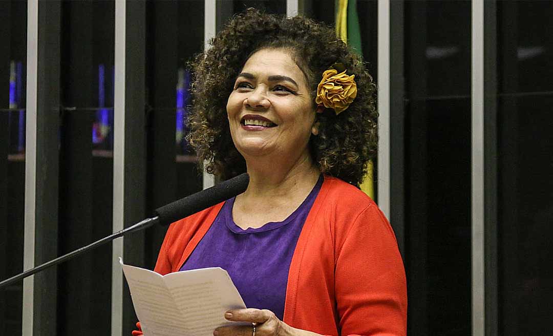 Aprovada emenda de Perpétua Almeida que proíbe a cobrança por bagagem despachada em voo