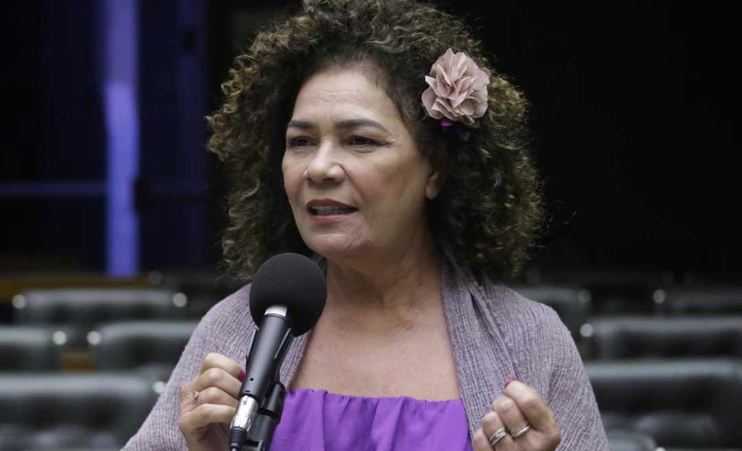 Câmara aprova urgência para projeto de Perpétua que cria o Dia de Luta pelo Parto Humanizado