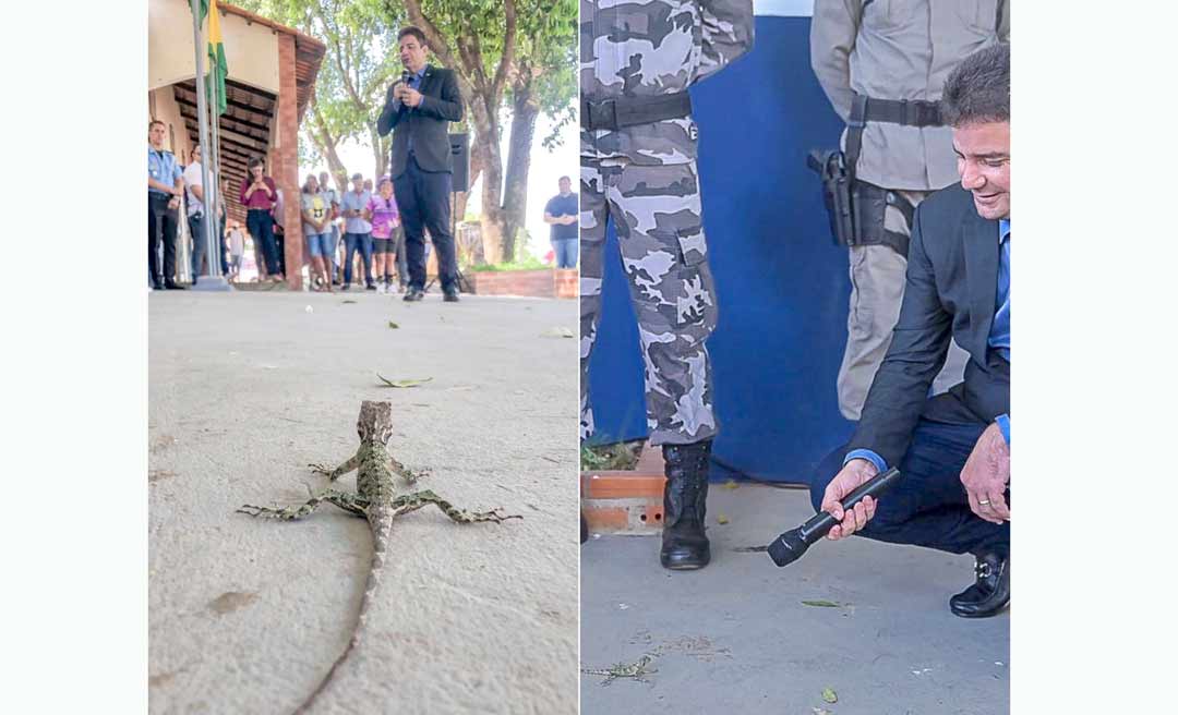 Depois de dançar e rebolar musiquinha do TikTok, Gladson “conversa” com calango