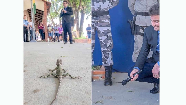 Depois de dançar e rebolar musiquinha do TikTok, Gladson “conversa” com calango