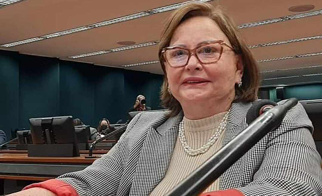 Vanda Milani vota a favor de punição para quem cometer atos violentos contra o poder público e o cidadão