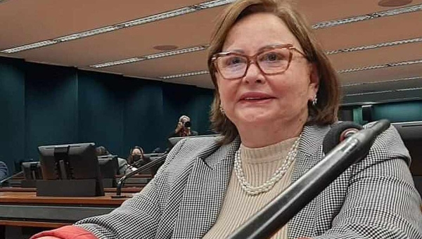 Vanda Milani vota a favor de punição para quem cometer atos violentos contra o poder público e o cidadão