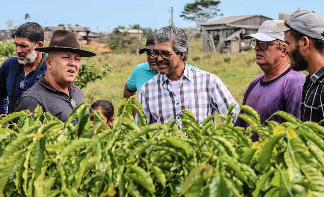 Edvaldo Magalhães e Jonas Lima visitam produtores de café do Projeto Tocantins e reforçam apoio à cultura